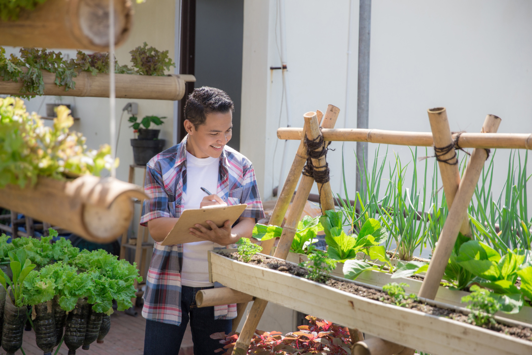 Checking Vegetables